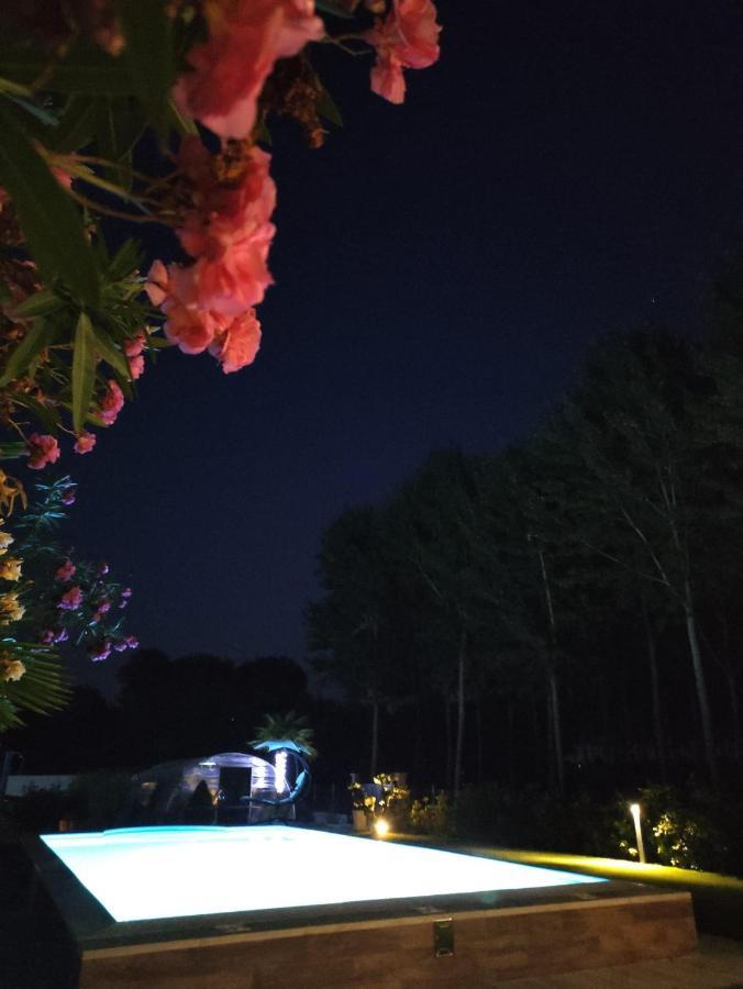 Rb Bed & Breakfast Gaiba Екстериор снимка